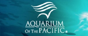 Aquarium Banner